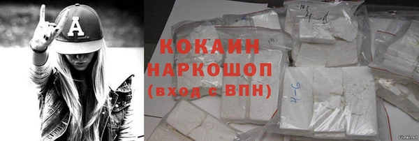 соль ск Алексин